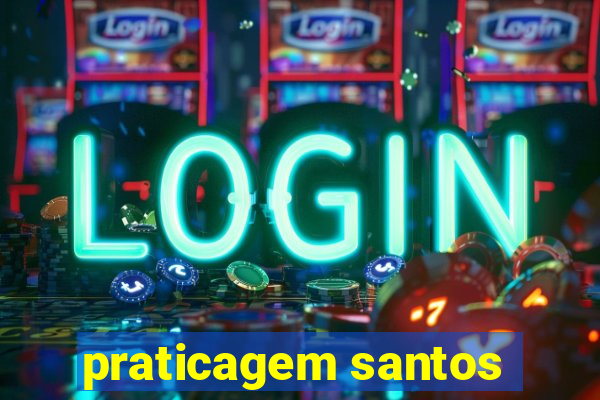 praticagem santos